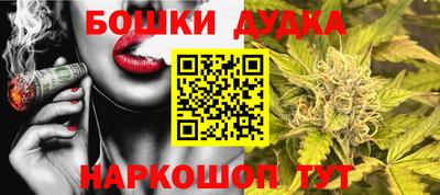 индика Ливны