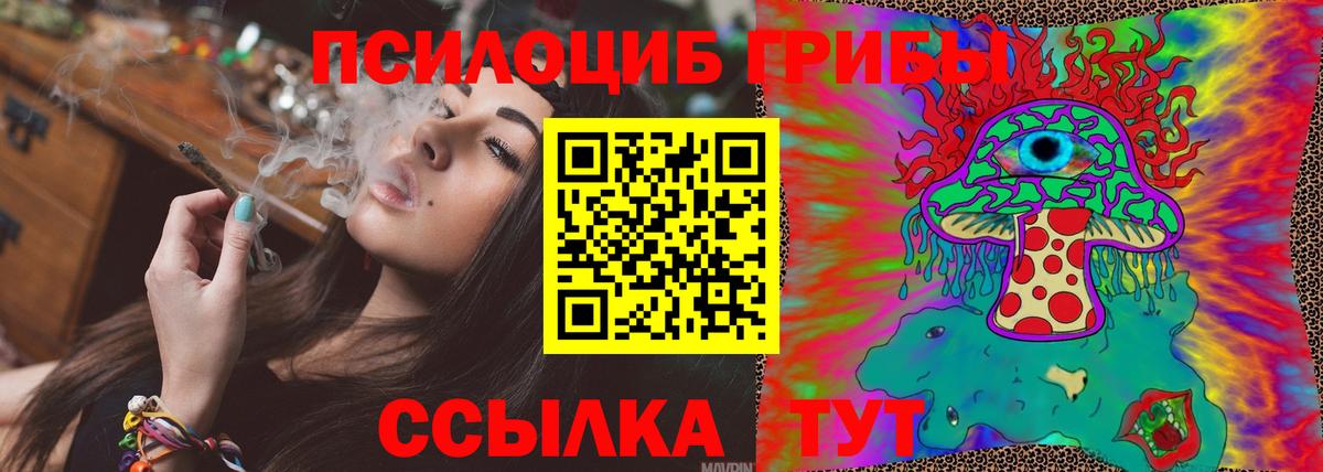 Галлюциногенные грибы Psilocybe  Вход с VPN  Искитим 